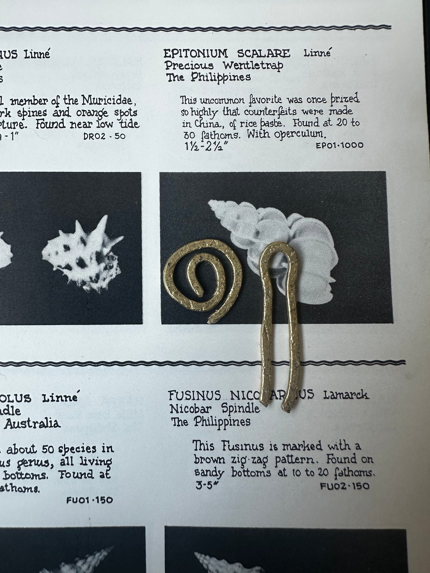 The Pamana /pʌmā'na/ 'Inheritance' - Waist Chain